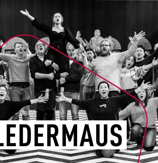 "Die Fledermaus" | © Arek Głębocki für das Theater Koblenz