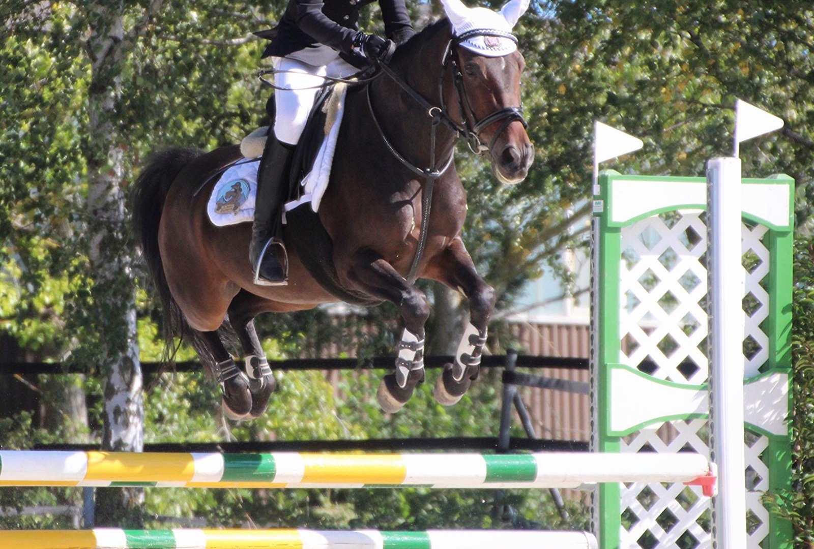 Sprung | &copy; Isabelle Diesler