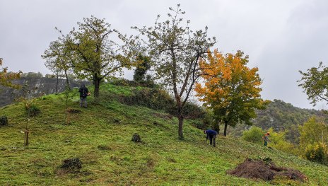 Kirchk&ouml;ppel | &copy; Joachim Hewel