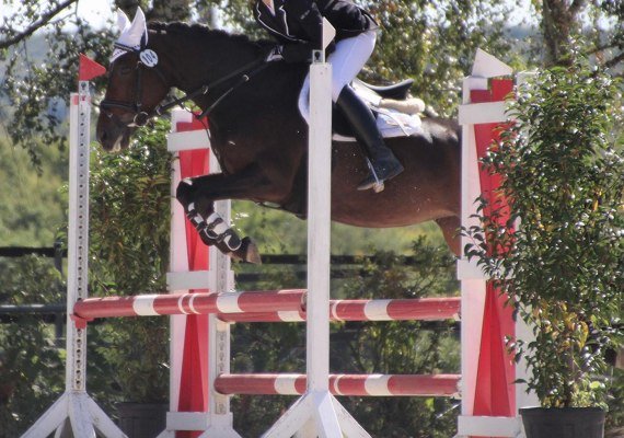 Reiterhof | &copy; Isabelle Diesler