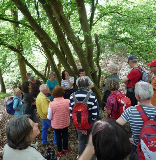 NaturErbe | &copy; Werner Sopp